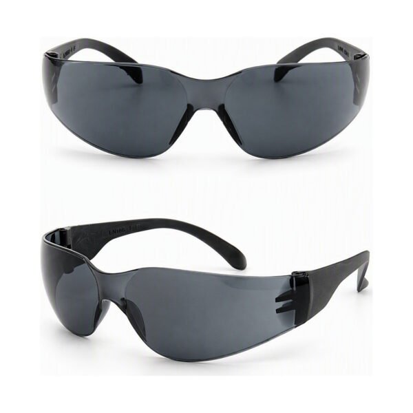 Anti-Fog Safety Goggles